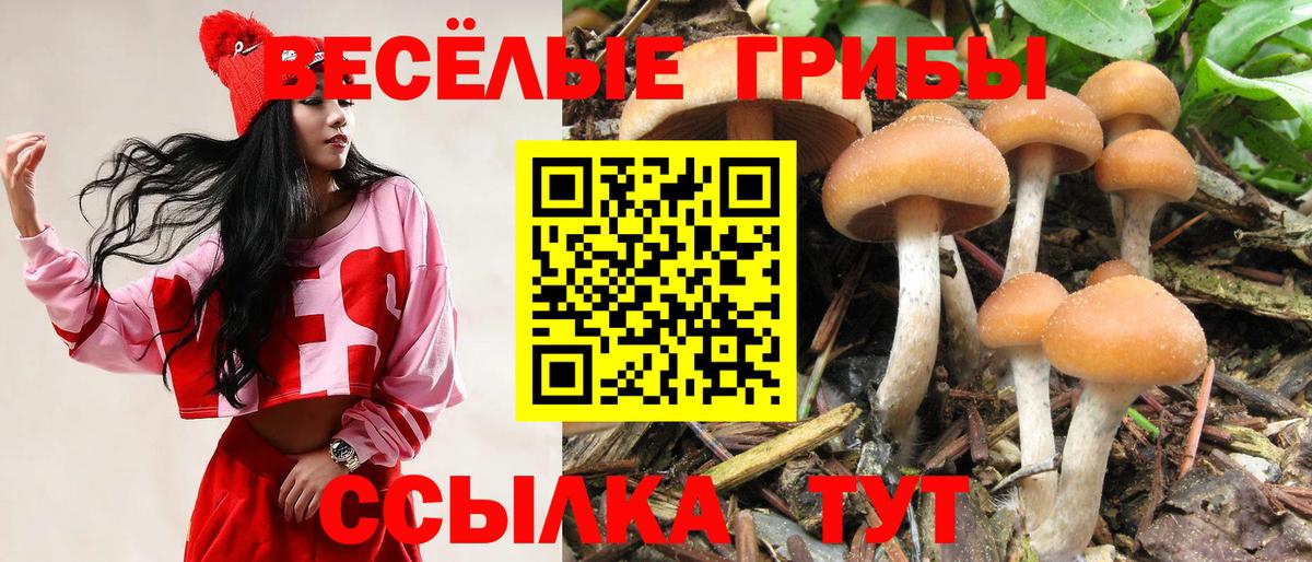 Псилоцибиновые грибы MAGIC MUSHROOMS Карабулак