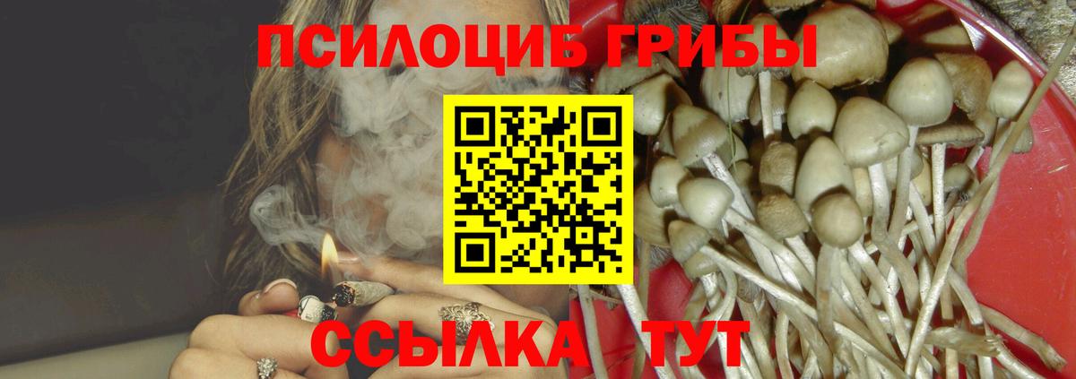 Псилоцибиновые грибы Magic Shrooms  Вход с VPN  Карабулак  Псилоцибиновые грибы GOLDEN TEACHER 